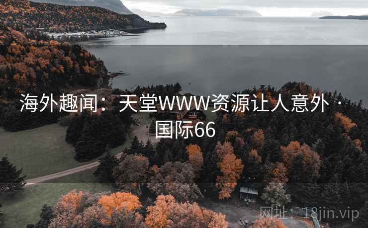 海外趣闻：天堂WWW资源让人意外 · 国际66